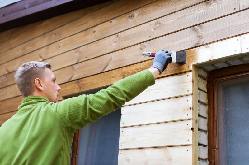 Cladding Painting in Boulder, CO